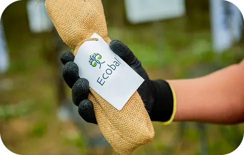 Ecobal-case-study-img